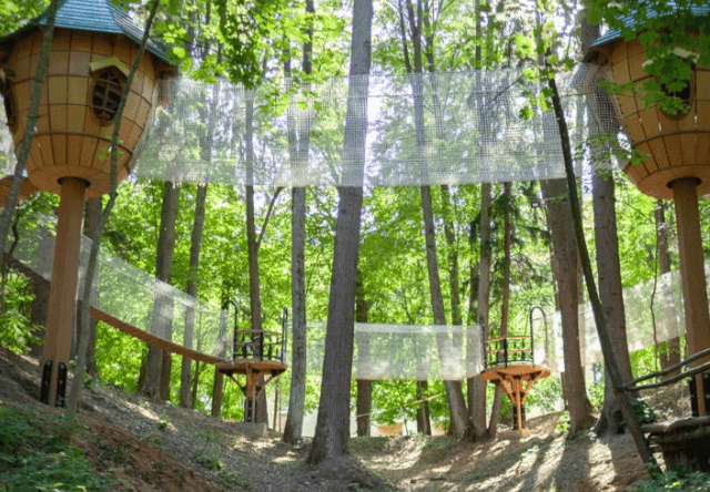aaa