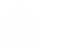 Красная Пахра